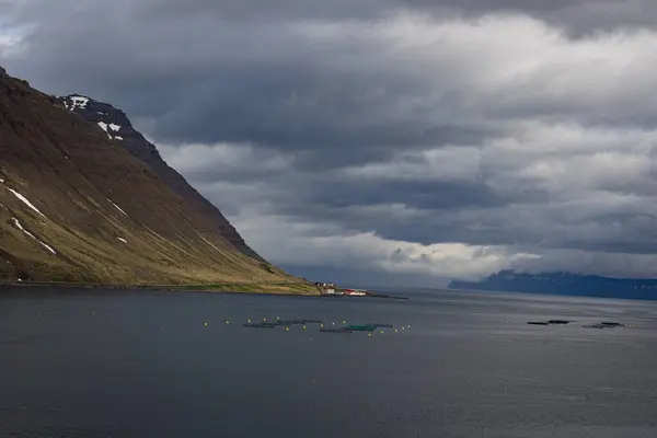 険しい崖や山脈の隣にアイスランド大西洋の海岸の水産養殖場 — ストック写真