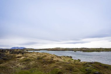 İzlanda topraklarında akan bir nehrin kıyısında yosun ve çimenler. Kar ufukta dağları kapladı..