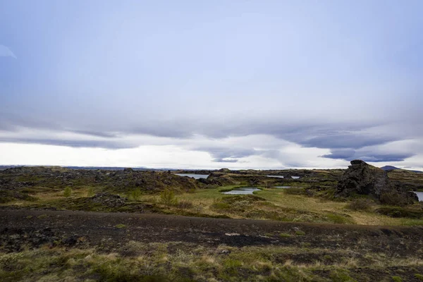 Paisagem Islandesa Com Musgo Crescendo Entre Rochas Vulcânicas Torno Lagoas — Fotografia de Stock