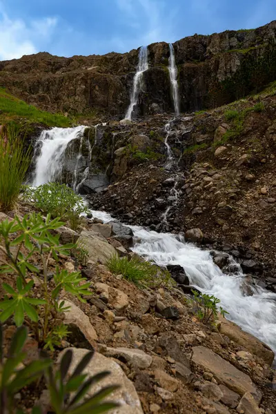 Melting Glaciers Town Seydisfjordur Iceland Create Small Waterfalls Flow Stones — ストック写真