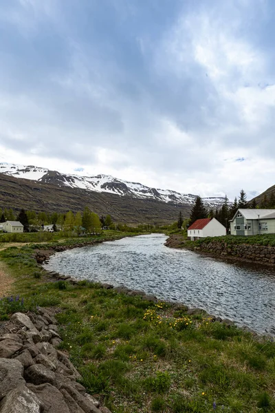 River Flowing Houses Icelandic Town — Foto Stock