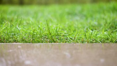 Slow motion of rain drops crashing on concrete slab on background of grass stems in a lawn