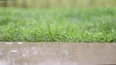 Slow motion of rain drops crashing on concrete slab on background of grass stems in a lawn
