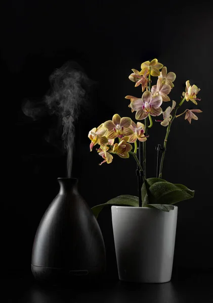 Bouquet Flavors Odors Associated Steam Coming Out Scent Vaporizing Dispenser — Foto de Stock