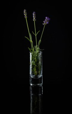 Three lavender stems placed in a shot glass reflecting on black background