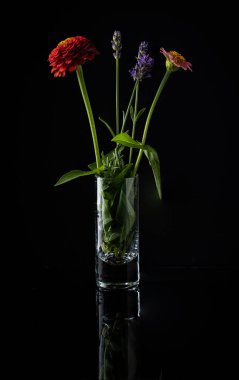 Lavender stems placed in a shot glass together with red and pink petals on reflective black background