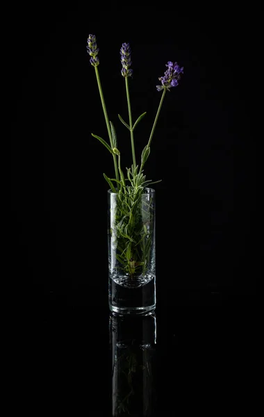 Three Lavender Stems Placed Shot Glass Reflecting Black Background — Stok fotoğraf