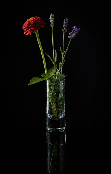 Floral Σύνθεση Από Μίσχους Λεβάντας Και Κόκκινο Λουλούδι Που Ανθίζει Εικόνα Αρχείου