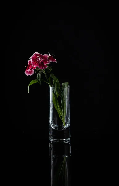 Miniature Flower Arrangement Black Background — Foto de Stock