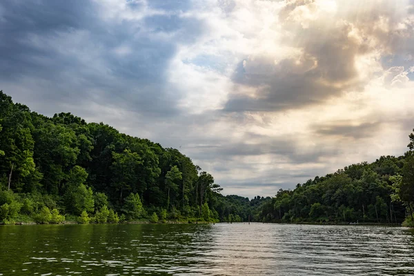 Bay Surrounded Forest Logs Sticking Out Water Taylorsville Lake Central — Stockfoto