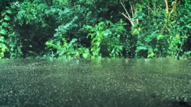 Rain drops falling on concrete surface in front of leaves and bushes