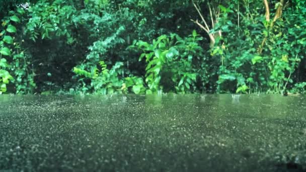 Rain Drops Falling Concrete Surface Front Leaves Bushes — Video