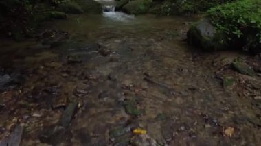 Tropikal ormanda şelaleli küçük bir dere.