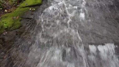 Küçük şelaleli bir derede hızlı akan suyu gözlemlemek