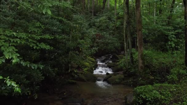 ノースカロライナ州ウェインズビル近くのスモーキー山脈の森の小さな水流の滝に近づく — ストック動画