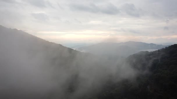 North Carolinas Smoky Mountains Omgitt Skog Grønn Vegetasjon Tåke Morgenen – stockvideo