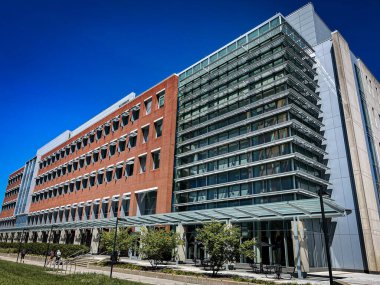 Güneşli bir günde Kentucky Üniversitesi kampüsündeki eczane binası