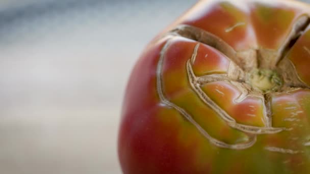 Primer Plano Parte Superior Agrietada Tomate Maduro Cultivado Casa — Vídeo de stock