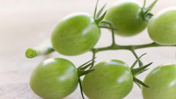 Deslizándose Frente Manojo Tomates Cherry Verdes — Vídeo de stock