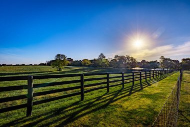 Kentucky kırsalındaki bir at çiftliğinin çitleri ayırıyor.