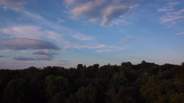 Drone Turun Belakang Pohon Hutan Selama Terang Malam Yang Cerah — Stok Video