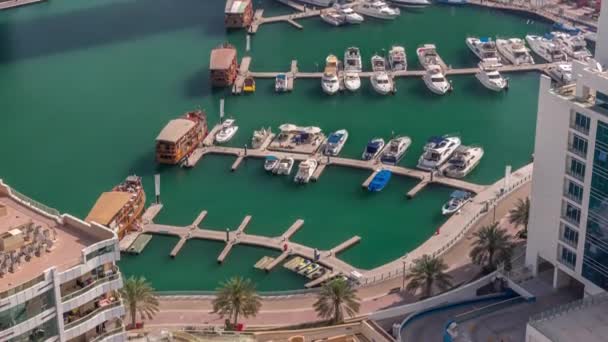 Mnoho jachty a čluny jsou zaparkované v přístavu letecké timelapse v Dubai Marina — Stock video