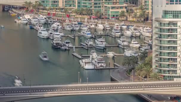 Many yachts and boats are parked in harbor aerial timelapse in Dubai Marina — Stock Video