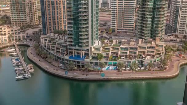 Promenade en bord de mer avec palmiers à Dubai Marina timelapse aérienne. — Video