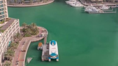 Dubai Marina 'da palmiyelerle rıhtım gezintisi..