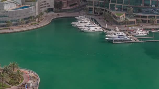 Waterfront promenade met palmen in Dubai Marina luchtfoto timelapse. — Stockvideo