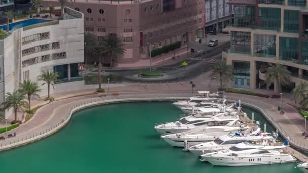 Waterfront promenade with palms in Dubai Marina aerial timelapse. — Stock Video