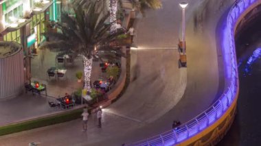 Dubai Marina hava sahasında palmiyelerle rıhtım gezintisi..