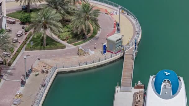 Dubai Marina 'da palmiyelerle rıhtım gezintisi.. — Stok video