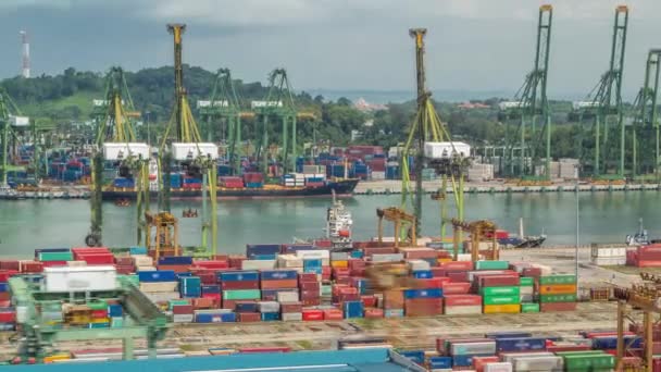 Puerto comercial de Singapur timelapse. Ojo de pájaro vista panorámica del puerto de carga asiático más concurrido — Vídeos de Stock