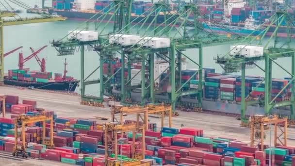 Kommersiella hamnen i Singapore timelapse. Fågel öga panoramautsikt över mest trafikerade asiatiska cargo port — Stockvideo
