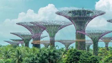 Defne timelapse tarafından Gardens supertrees.