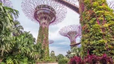 Defne timelapse hyperlapse tarafından Gardens supertrees.