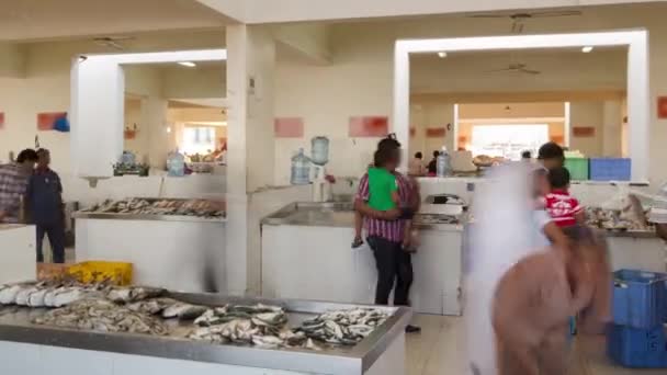 Zeevoedsel op de vismarkt in Ajman timelapse — Stockvideo
