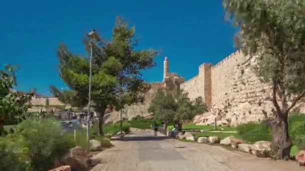 Defensive wall of the ancient holy Jerusalem timelapse hyperlapse, lit by the bright sun. Wonderful green lawn — Stock Video