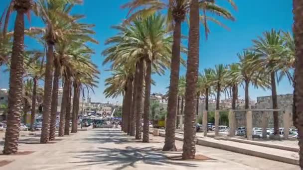Palmbomen op Alley Mishol HaPninim Garden die leidt naar de Damascus Gate timelapse hyperlapse in Jerusalem Old City, Israel. — Stockvideo