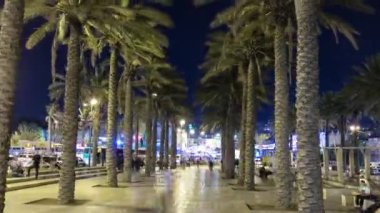 Palm Park Kudüs'te gece timelapse hyperlapse