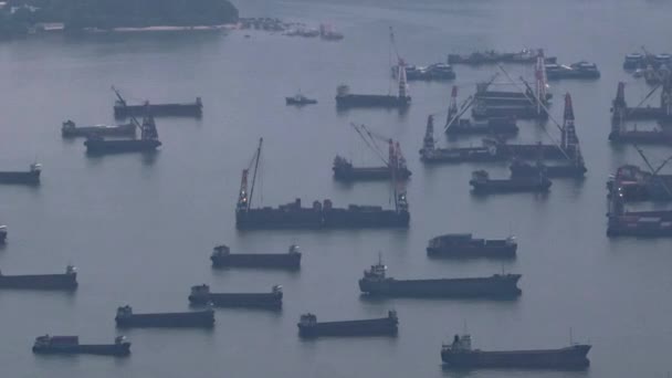 많은 선박과 빅토리아 피크 타임 랩스에서 빅토리아 항구와 홍콩 의 포트. — 비디오
