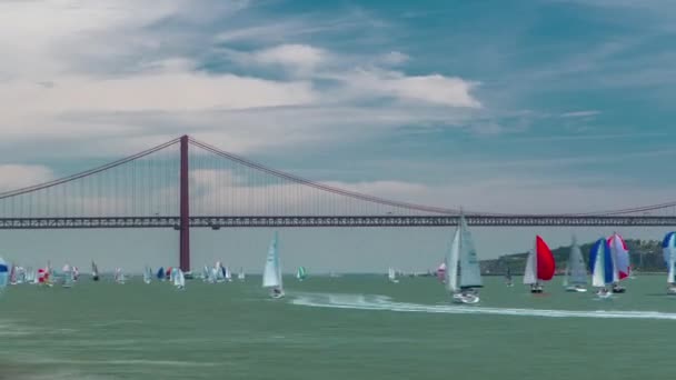 Sailfishes on the Tagus river with 25th of April Suspension Bridge on background timelapse — Stock Video