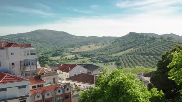 Vinice na kopcích Portugalska s pěkné domy nedaleko Sesimbry timelapse — Stock video