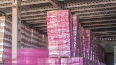 Forklift yükleyicisi ve kargo kutuları depolanan depo zaman aralığı
