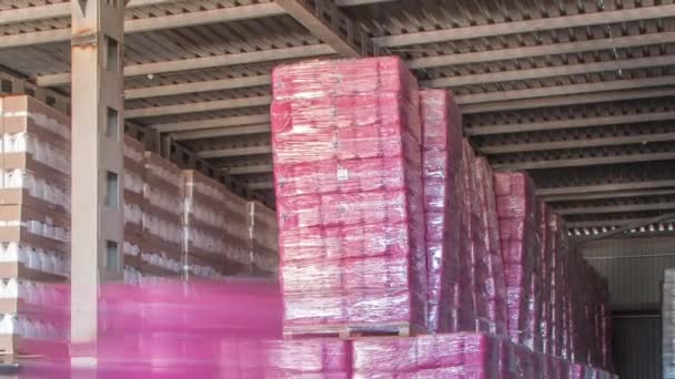 Forklift loader and cargo boxes storing at warehouse timelapse — Vídeo de Stock