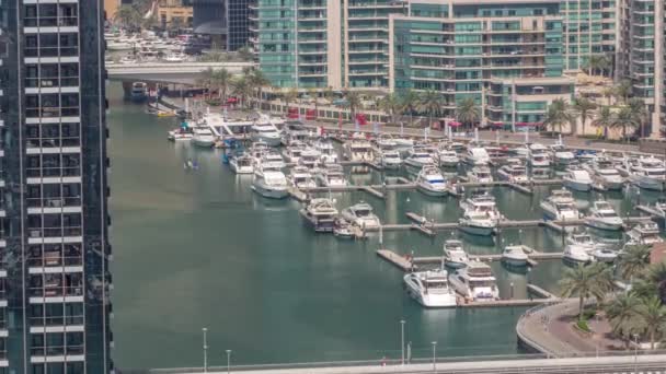 Veel jachten en boten zijn geparkeerd in de haven antenne de hele dag timelapse in Dubai Marina — Stockvideo