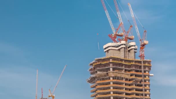 Строящиеся высотные здания. Сайт с кранами против голубого неба — стоковое видео