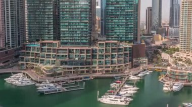 Dubai Marina 'da palmiyelerle rıhtım gezintisi..