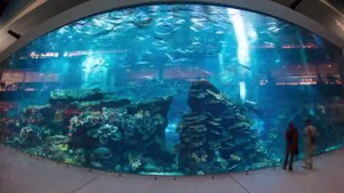 Alışveriş merkezindeki akvaryum - dünyanın en büyük alışveriş merkezi, Dubai 'deki Burj Halife, Birleşik Arap Emirlikleri zaman çizelgesi 4K